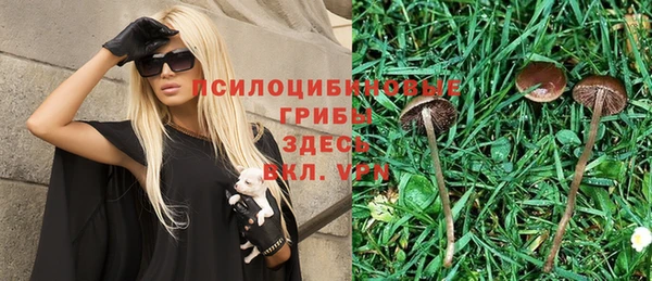 mdpv Белокуриха