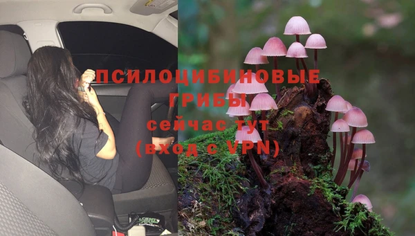 прущая мука Михайловск