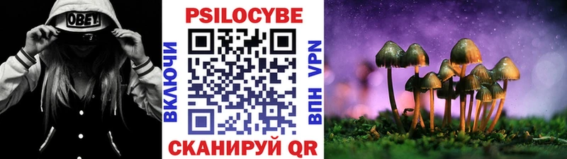 blacksprut маркетплейс  Красновишерск  Псилоцибиновые грибы прущие грибы 